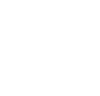 Stevens hindernissen